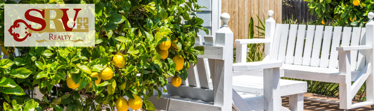 Lemon bushes elevate this simple patio